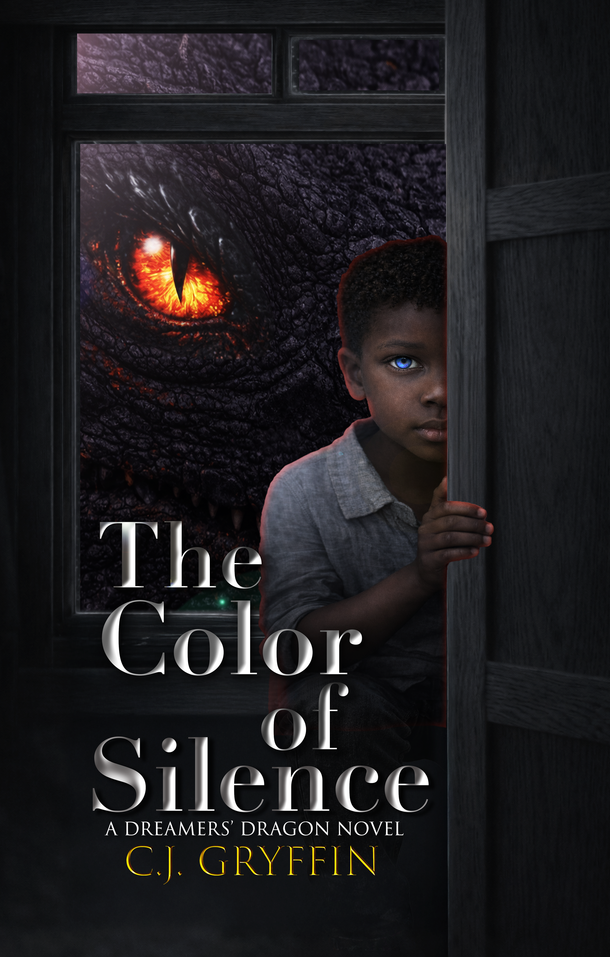 The Color of Silence book cover
